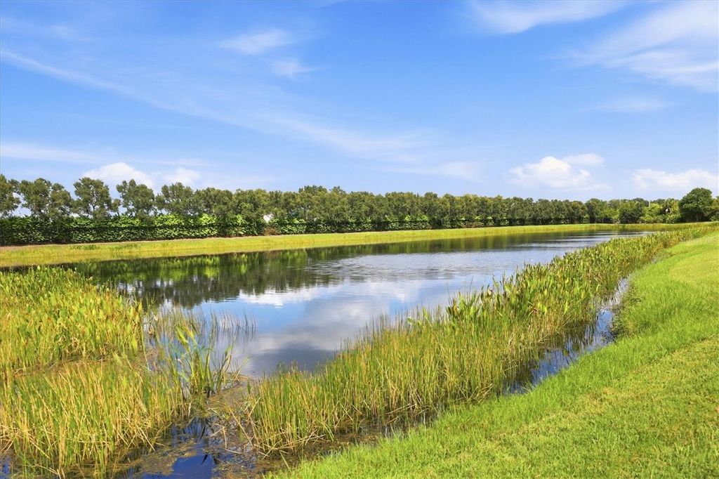 Image 39 of property listing at 10035 MARBELLA DRIVE, Bradenton, FL 34211