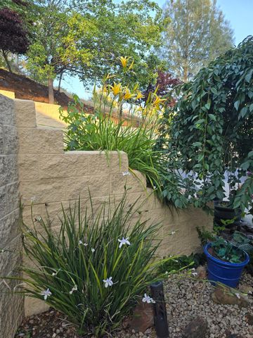 3388 Sudbury Rd, Cameron Park, CA 95682