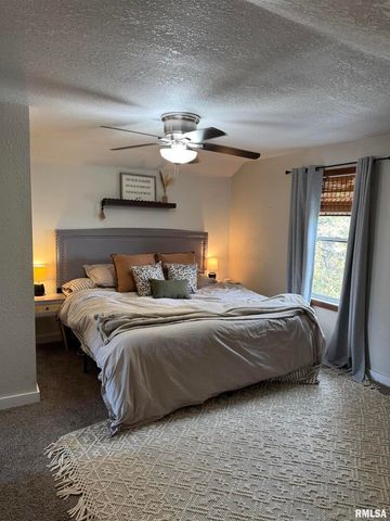 16379 N Sand Road, Fulton, IL 61252