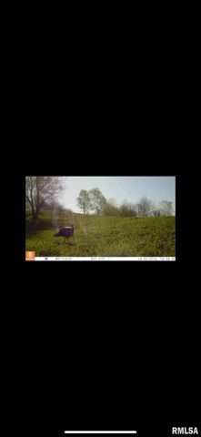 16379 N Sand Road, Fulton, IL 61252