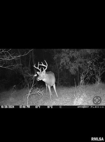 16379 N Sand Road, Fulton, IL 61252