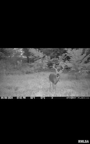 16379 N Sand Road, Fulton, IL 61252