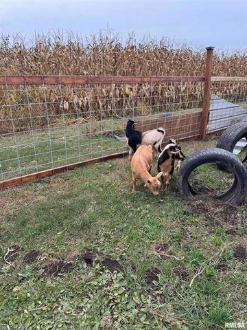 16379 N Sand Road, Fulton, IL 61252