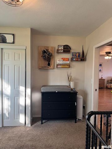 16379 N Sand Road, Fulton, IL 61252