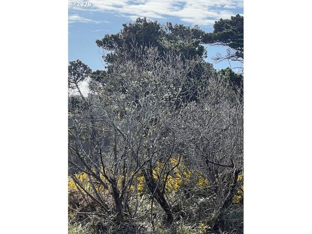 0 18th St Sw, Bandon, OR 97411