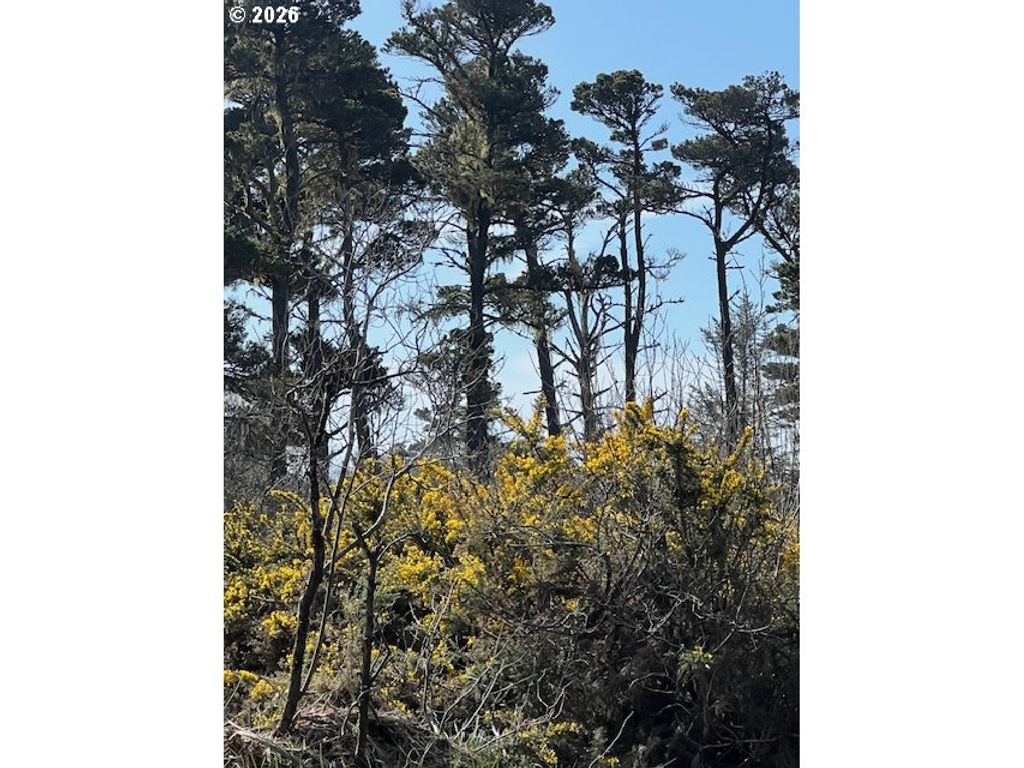 0 18th St Sw, Bandon, OR 97411