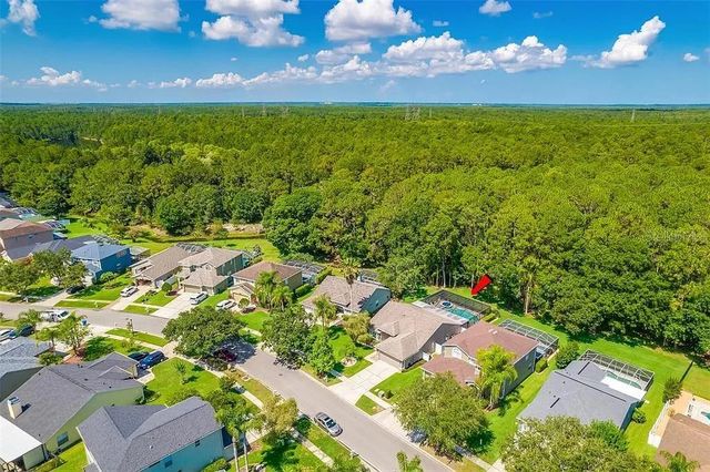 13035 ROYAL GEORGE AVENUE, Odessa, FL 33556