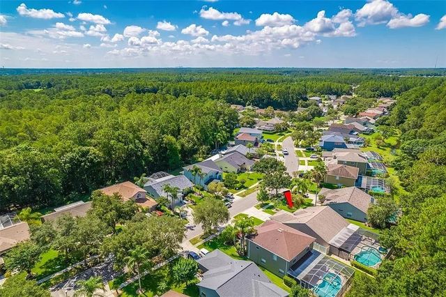 13035 ROYAL GEORGE AVENUE, Odessa, FL 33556