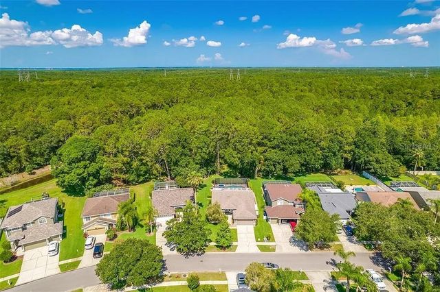 13035 ROYAL GEORGE AVENUE, Odessa, FL 33556