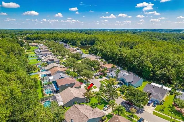 13035 ROYAL GEORGE AVENUE, Odessa, FL 33556