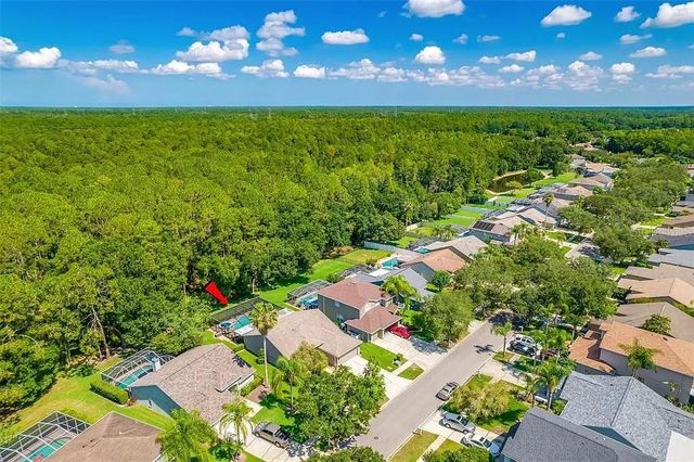 13035 ROYAL GEORGE AVENUE, Odessa, FL 33556