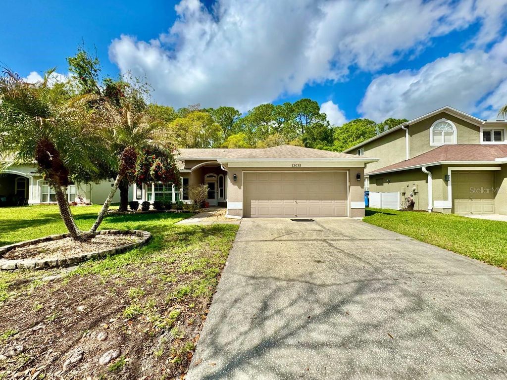 13035 ROYAL GEORGE AVENUE, Odessa, FL 33556