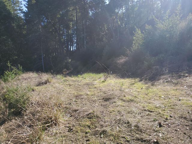 700 Willow Road, Alderpoint, CA 95511