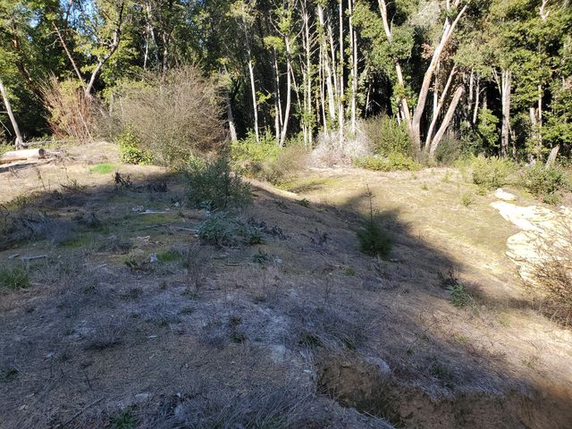 700 Willow Road, Alderpoint, CA 95511