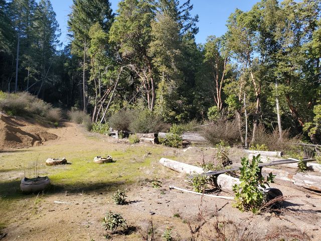 700 Willow Road, Alderpoint, CA 95511