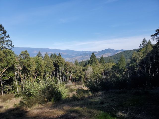 700 Willow Road, Alderpoint, CA 95511