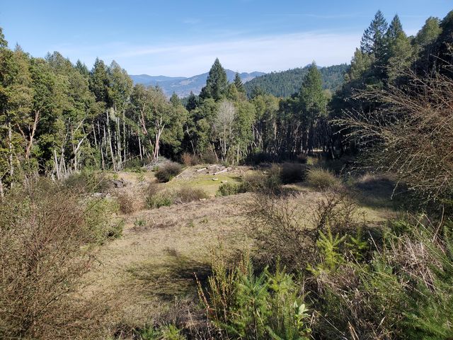 700 Willow Road, Alderpoint, CA 95511