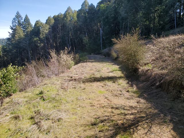 700 Willow Road, Alderpoint, CA 95511