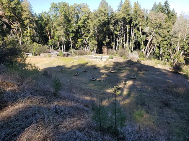 700 Willow Road, Alderpoint, CA 95511