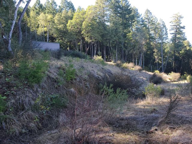 700 Willow Road, Alderpoint, CA 95511