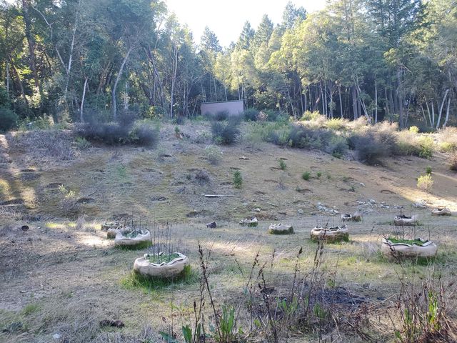 700 Willow Road, Alderpoint, CA 95511