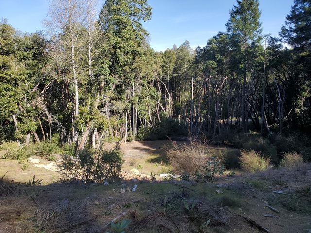 700 Willow Road, Alderpoint, CA 95511