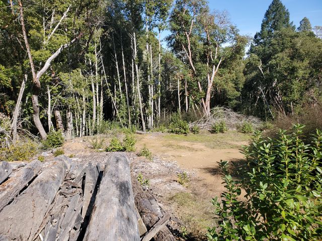 700 Willow Road, Alderpoint, CA 95511