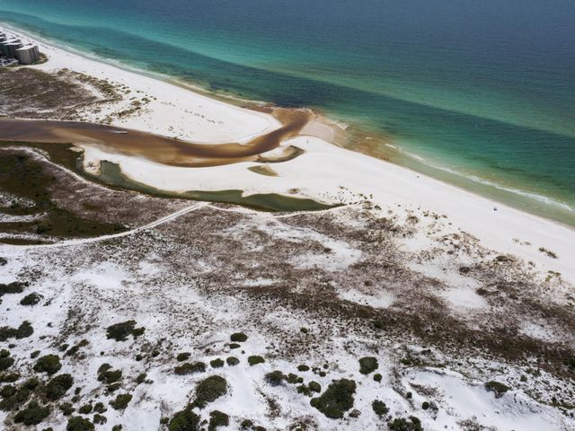 Lot 10 W Lupin Beach Drive, Inlet Beach, FL 32461