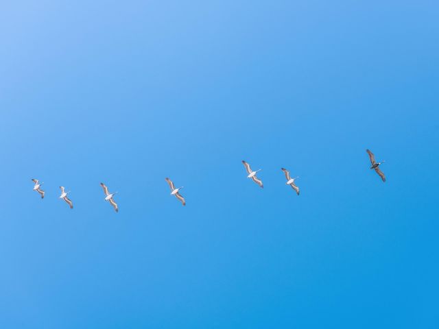 Lot 10 W Lupin Beach Drive, Inlet Beach, FL 32461