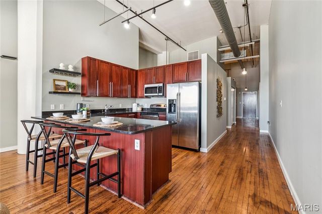 1520 Washington Avenue 202, St Louis, MO 63103