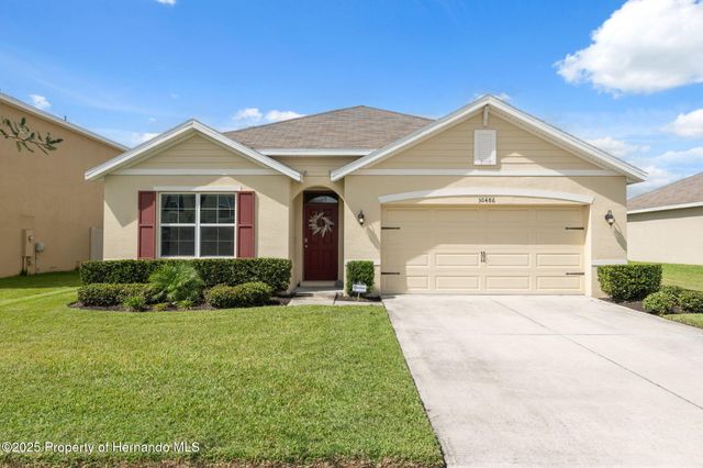 30486 Summer Sun Loop, Wesley Chapel, FL 33545
