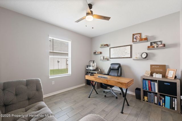 30486 Summer Sun Loop, Wesley Chapel, FL 33545
