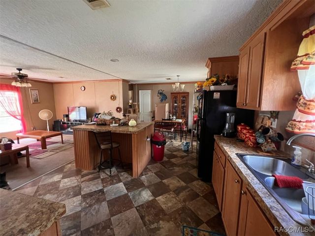 315 S Honey Bear Way, Lecanto, FL 34461