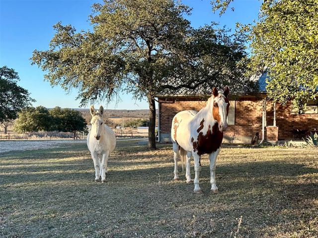 3718 Highway 36 W, Rising Star, TX 76471