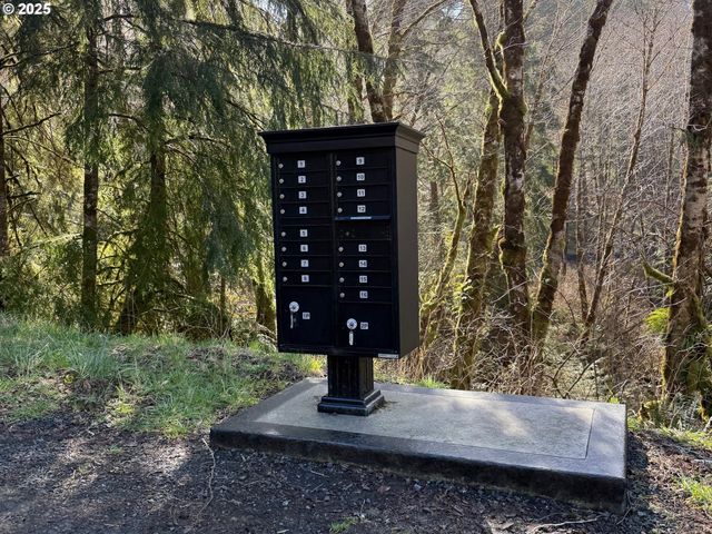 Cinnabar Lot 3, North Bend, OR 97459