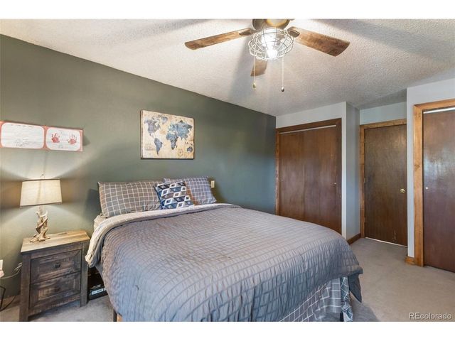 208 Illini Dr, Woodland Park, CO 80863