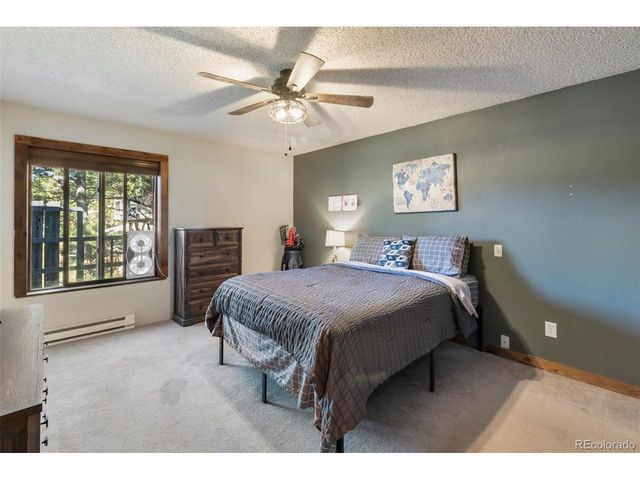 208 Illini Dr, Woodland Park, CO 80863