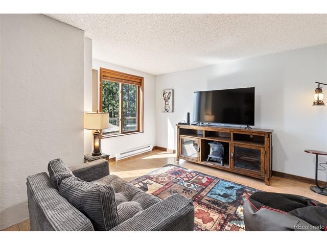 208 Illini Dr, Woodland Park, CO 80863