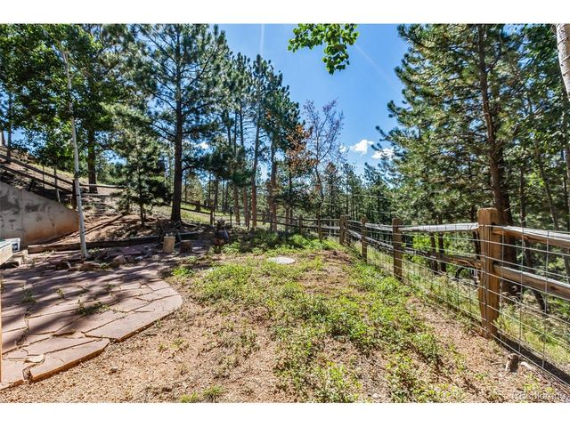 208 Illini Dr, Woodland Park, CO 80863