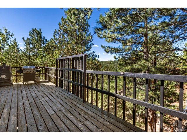 208 Illini Dr, Woodland Park, CO 80863