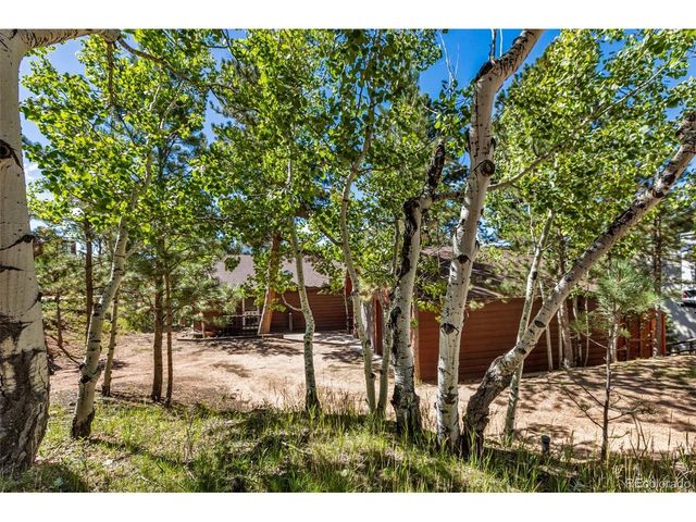 208 Illini Dr, Woodland Park, CO 80863