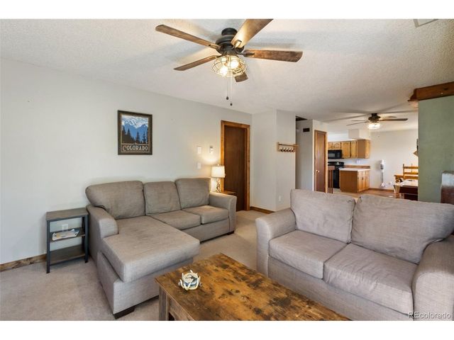 208 Illini Dr, Woodland Park, CO 80863