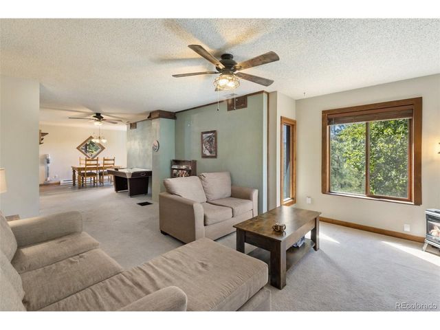 208 Illini Dr, Woodland Park, CO 80863