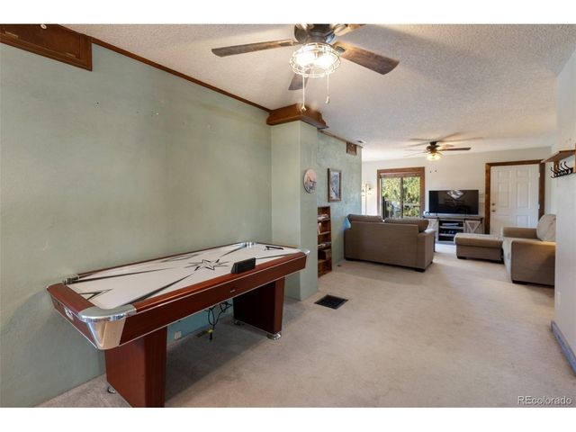 208 Illini Dr, Woodland Park, CO 80863