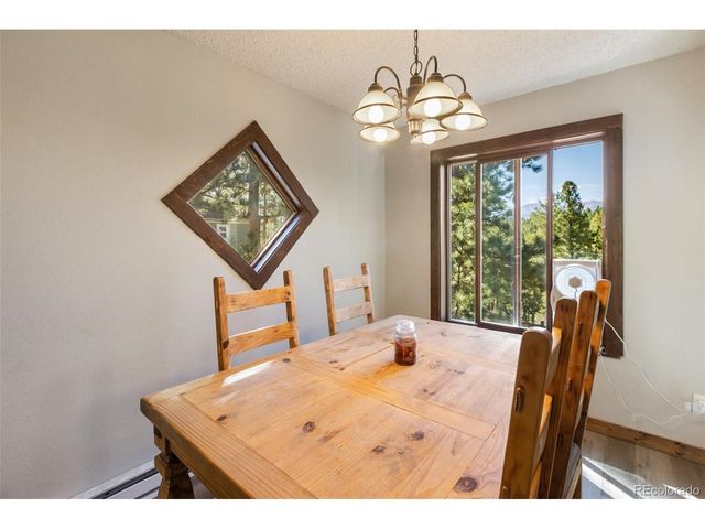 208 Illini Dr, Woodland Park, CO 80863