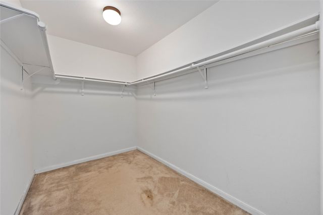 21411 Rioja Bluff Lane, Katy, TX 77449