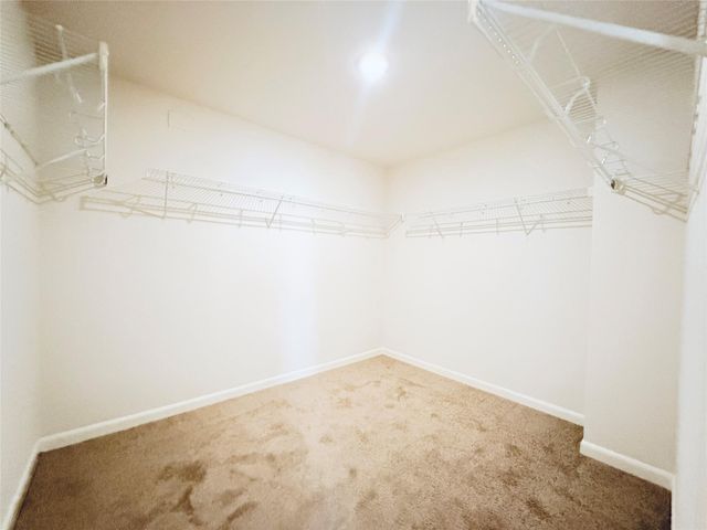 431 Mantova Drive, Houston, TX 77073