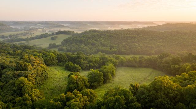 3556 Buford Station Rd, Lynnville, TN 38472