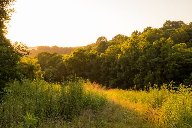 3556 Buford Station Rd, Lynnville, TN 38472
