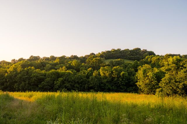 3556 Buford Station Rd, Lynnville, TN 38472